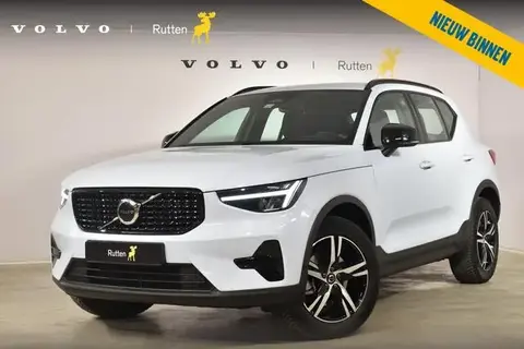 Used VOLVO XC40 Hybrid 2024 Ad 