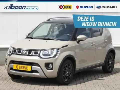 Annonce SUZUKI IGNIS Hybride 2021 d'occasion 