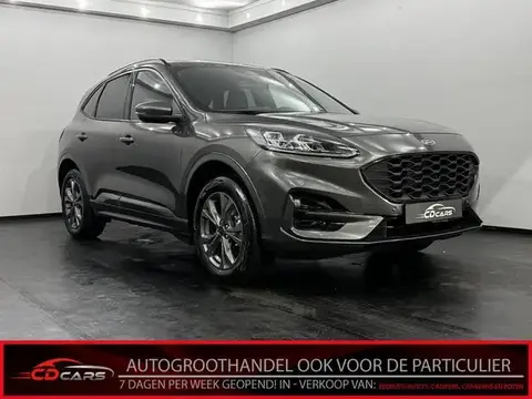 Annonce FORD KUGA Hybride 2023 d'occasion 