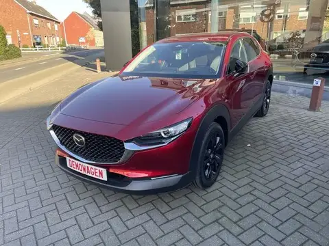 Annonce MAZDA CX-30 Non renseigné 2024 d'occasion 