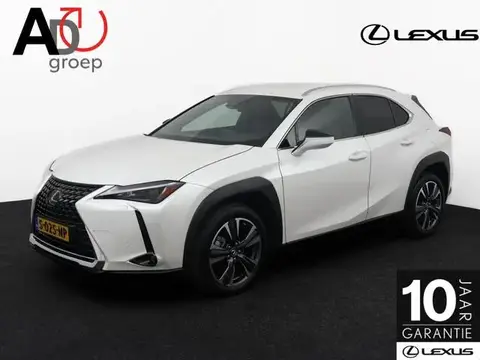 Annonce LEXUS UX Hybride 2023 d'occasion 