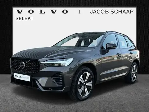 Annonce VOLVO XC60 Hybride 2024 d'occasion 