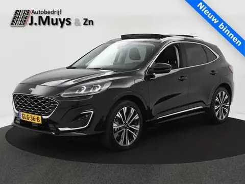 Used FORD KUGA Hybrid 2021 Ad 