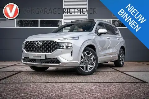 Used HYUNDAI SANTA FE Hybrid 2023 Ad 