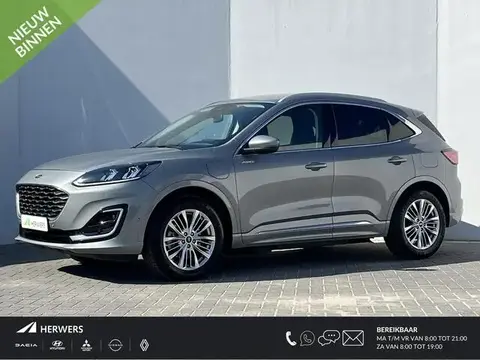 Used FORD KUGA Hybrid 2021 Ad 