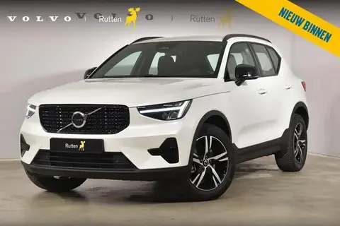 Used VOLVO XC40 Hybrid 2024 Ad 