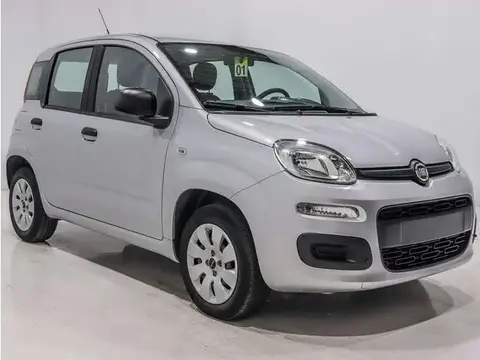 Used FIAT PANDA Petrol 2020 Ad 