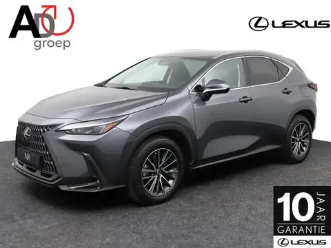 Used LEXUS NX Hybrid 2022 Ad 