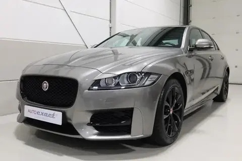 Used JAGUAR XF Petrol 2019 Ad 