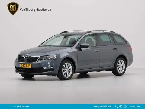 Used SKODA OCTAVIA Petrol 2019 Ad 