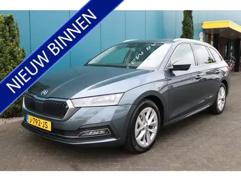 Used SKODA OCTAVIA Petrol 2020 Ad 