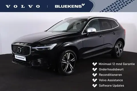 Annonce VOLVO XC60 Hybride 2017 d'occasion 