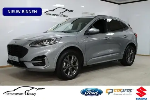 Used FORD KUGA Hybrid 2023 Ad 