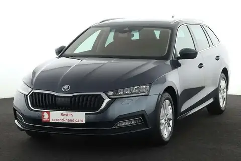 Annonce SKODA OCTAVIA Diesel 2021 d'occasion 