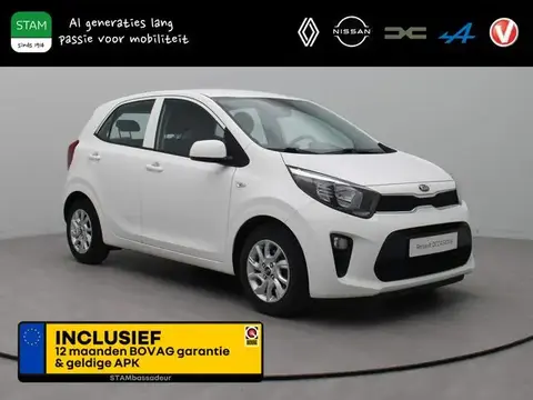 Annonce KIA PICANTO Essence 2020 d'occasion 