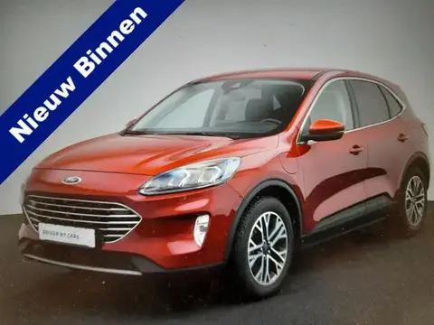 Used FORD KUGA Hybrid 2020 Ad 