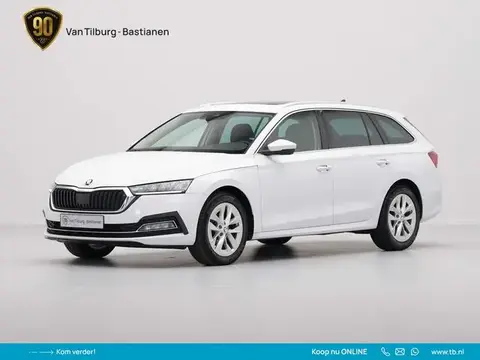 Used SKODA OCTAVIA Petrol 2021 Ad 