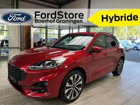 Used FORD KUGA Hybrid 2023 Ad 