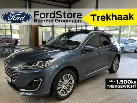 Used FORD KUGA Hybrid 2023 Ad 