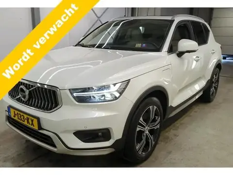 Annonce VOLVO XC40 Hybride 2020 d'occasion 