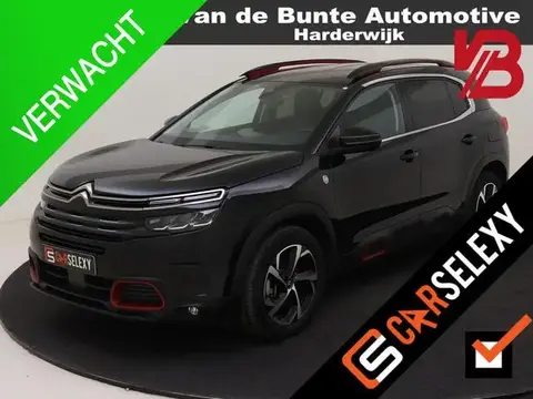 Annonce CITROEN C5 Hybride 2022 d'occasion 