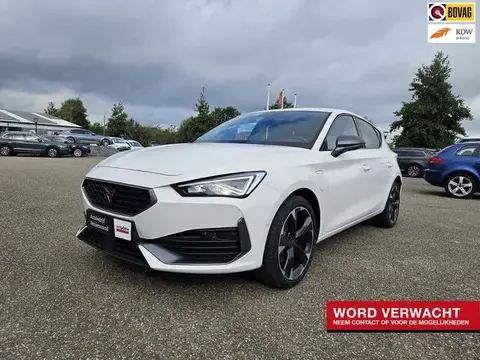 Used CUPRA LEON Hybrid 2022 Ad 