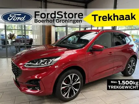 Used FORD KUGA Hybrid 2023 Ad 