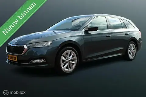 Used SKODA OCTAVIA Petrol 2021 Ad 