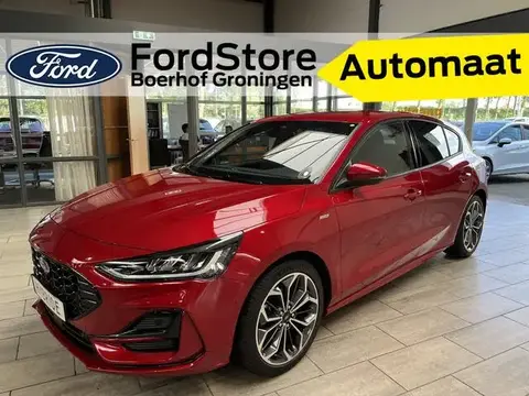 Used FORD FOCUS Hybrid 2023 Ad 