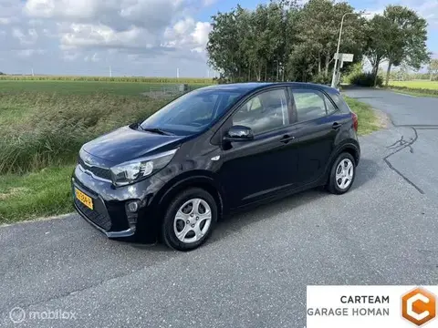 Annonce KIA PICANTO Essence 2018 d'occasion 