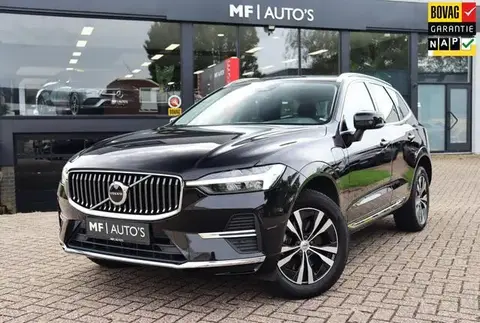 Used VOLVO XC60 Hybrid 2021 Ad 