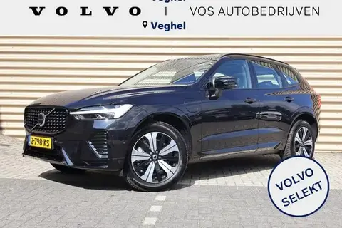 Used VOLVO XC60 Hybrid 2024 Ad 