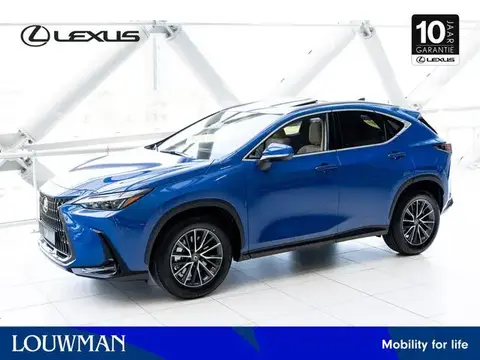 Annonce LEXUS NX Hybride 2023 d'occasion 