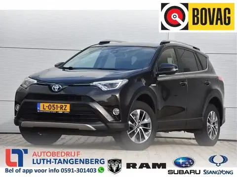 Used TOYOTA RAV4 Hybrid 2018 Ad 