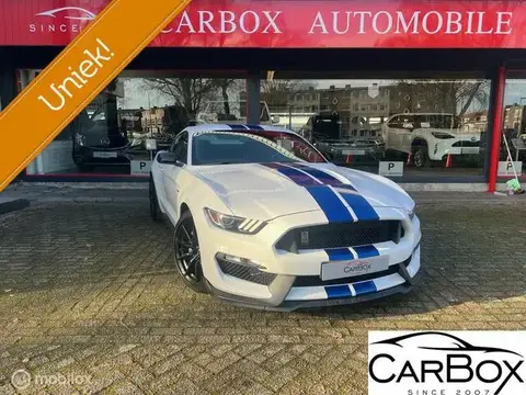 Used FORD MUSTANG Petrol 2019 Ad 