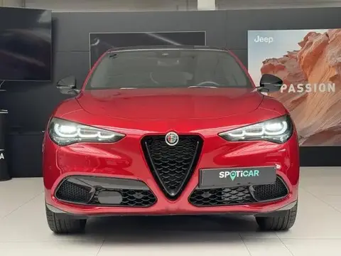 Annonce ALFA ROMEO STELVIO Diesel 2023 d'occasion 