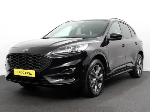 Used FORD KUGA Hybrid 2023 Ad 