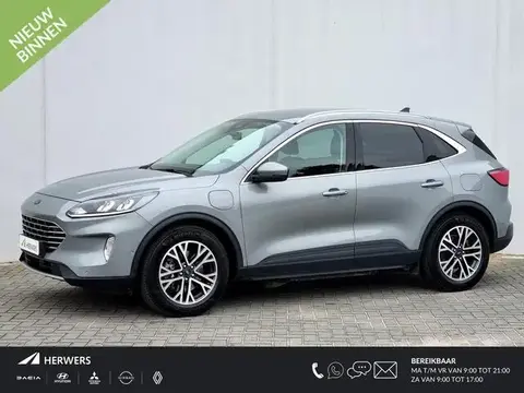 Used FORD KUGA Hybrid 2020 Ad 