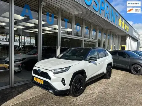 Used TOYOTA RAV4 Hybrid 2024 Ad 