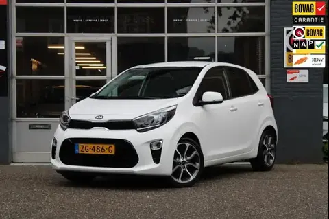 Annonce KIA PICANTO Essence 2019 d'occasion 