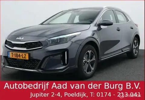 Used KIA XCEED Hybrid 2023 Ad 