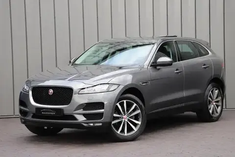 Used JAGUAR F-PACE Diesel 2016 Ad 