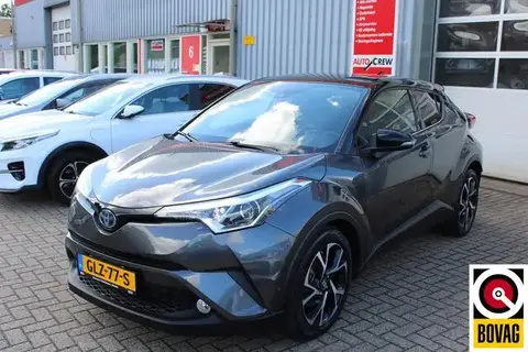 Used TOYOTA C-HR Hybrid 2017 Ad 