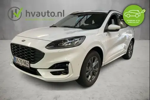 Used FORD KUGA Hybrid 2023 Ad 