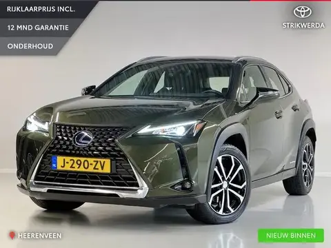 Used LEXUS UX Hybrid 2019 Ad 