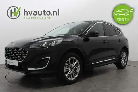 Used FORD KUGA Hybrid 2023 Ad 