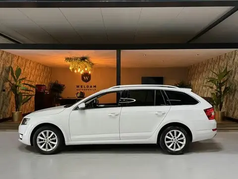 Annonce SKODA OCTAVIA Essence 2016 d'occasion 