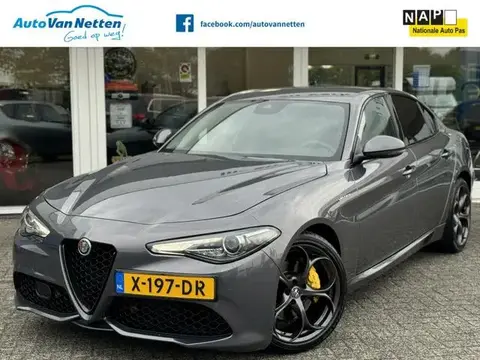 Used ALFA ROMEO GIULIA Petrol 2017 Ad 