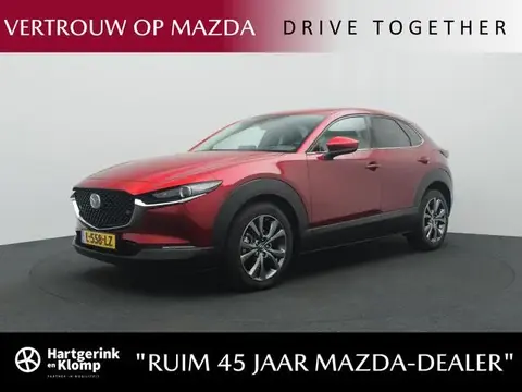 Used MAZDA CX-30 Hybrid 2021 Ad 