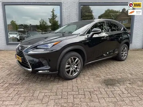 Used LEXUS NX Hybrid 2018 Ad 